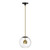 ET2 - E25154-BKNAB - LED Pendant - Nucleus - Black / Natural Aged Brass