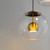 Nucleus LED Pendant (E25156-BKNAB)