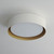 Echo LED Flush Mount (E51012-WTGLD)