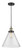 manufacturer_finish:Black Antique Brass|manufacturer_glass:Seedy Cone 12|light_output:600.00lm|color_temperature:2700K|cri:82