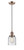 manufacturer_finish:Antique Copper/Unspecified|manufacturer_glass:Seedy|blade_span:Unspecified|light_source:LED|light_output:600.00lm|color_temperature:2700K|cri:82|voltage:120.00V|fan_control:Unspecified|crystal:Unspecified
