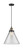 manufacturer_finish:Black Antique Brass|manufacturer_glass:Clear|light_output:220.00lm|color_temperature:2200K|cri:99