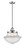 manufacturer_finish:Brushed Satin Nickel|manufacturer_glass:Clear|light_output:600.00lm|color_temperature:2700K|cri:82