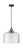 manufacturer_finish:Black Antique Brass|manufacturer_glass:Clear|light_output:600.00lm|color_temperature:2700K|cri:82