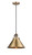 manufacturer_finish:Brushed Brass|manufacturer_glass:Brushed Brass|light_output:220.00lm|color_temperature:2200K|cri:99