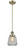 manufacturer_finish:Antique Brass|manufacturer_glass:Clear|light_output:600.00lm|color_temperature:2700K|cri:82