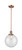manufacturer_finish:Antique Copper|manufacturer_glass:Clear|light_output:220.00lm|color_temperature:2200K|cri:99