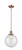 manufacturer_finish:Antique Copper|manufacturer_glass:Clear|light_output:600.00lm|color_temperature:2700K|cri:82