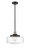 manufacturer_finish:Black Antique Brass|manufacturer_glass:Clear|light_output:220.00lm|color_temperature:2200K|cri:99