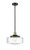 manufacturer_finish:Black Antique Brass|manufacturer_glass:Seedy|light_output:600.00lm|color_temperature:2700K|cri:82