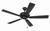Eos 52" Ceiling Fan (ECF52FB5-FBGW)