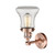 manufacturer_finish:Antique Copper|light_output:220.00lm|color_temperature:2200K|cri:99