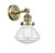 manufacturer_finish:Antique Brass|light_output:245.00lm|color_temperature:2100K|cri:98