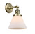 manufacturer_finish:Antique Brass|manufacturer_glass:Matte White|light_output:220.00lm|color_temperature:2200K|cri:99