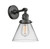manufacturer_finish:Oil Rubbed Bronze|manufacturer_glass:Clear|light_output:600.00lm|color_temperature:2700K|cri:82