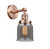 manufacturer_finish:Antique Copper|manufacturer_glass:Light Smoke|light_output:600.00lm|color_temperature:2700K|cri:82