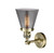 manufacturer_finish:Antique Brass|manufacturer_glass:Light Smoke|light_output:600.00lm|color_temperature:2700K|cri:82