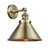 manufacturer_finish:Antique Brass|manufacturer_glass:Antique Brass|light_output:220.00lm|color_temperature:2200K|cri:99
