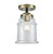 manufacturer_finish:Black Antique Brass|manufacturer_glass:Clear|light_output:600.00lm|color_temperature:2700K|cri:82