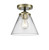 manufacturer_finish:Black Antique Brass|manufacturer_glass:Clear|light_output:600.00lm|color_temperature:2700K|cri:82