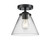 manufacturer_finish:Oil Rubbed Bronze|manufacturer_glass:Clear|light_output:220.00lm|color_temperature:2200K|cri:99