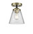 manufacturer_finish:Black Antique Brass|manufacturer_glass:Clear|light_output:220.00lm|color_temperature:2200K|cri:99