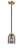 manufacturer_finish:Black Antique Brass|manufacturer_glass:Light Smoke|light_output:600.00lm|color_temperature:2700K|cri:82