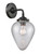 manufacturer_finish:Oil Rubbed Bronze|manufacturer_glass:Clear Crackle Geneseo|light_output:220.00lm|color_temperature:2200K|cri:99