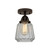manufacturer_finish:Oil Rubbed Bronze|manufacturer_glass:Clear|light_output:600.00lm|color_temperature:2700K|cri:82