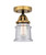 manufacturer_finish:Black Antique Brass|manufacturer_glass:Seedy|light_output:600.00lm|color_temperature:2700K|cri:82