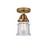 manufacturer_finish:Brushed Brass|manufacturer_glass:Seedy|light_output:600.00lm|color_temperature:2700K|cri:82