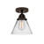 manufacturer_finish:Oil Rubbed Bronze|manufacturer_glass:Clear|light_output:220.00lm|color_temperature:2200K|cri:99