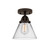 manufacturer_finish:Oil Rubbed Bronze|manufacturer_glass:Clear|light_output:600.00lm|color_temperature:2700K|cri:82