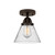 manufacturer_finish:Oil Rubbed Bronze|manufacturer_glass:Seedy|light_output:600.00lm|color_temperature:2700K|cri:82