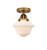 manufacturer_finish:Brushed Brass|manufacturer_glass:Matte White|light_output:220.00lm|color_temperature:2200K|cri:99