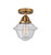manufacturer_finish:Brushed Brass|manufacturer_glass:Seedy|light_output:600.00lm|color_temperature:2700K|cri:82
