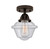 manufacturer_finish:Oil Rubbed Bronze|manufacturer_glass:Seedy|light_output:600.00lm|color_temperature:2700K|cri:82