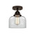 manufacturer_finish:Oil Rubbed Bronze|manufacturer_glass:Clear|light_output:600.00lm|color_temperature:2700K|cri:82
