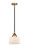 manufacturer_finish:Black Antique Brass|manufacturer_glass:Cased Matte White Large Bell|light_output:220.00lm|color_temperature:2200K|cri:99