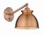 manufacturer_finish:Antique Copper|manufacturer_glass:Antique Copper|light_output:220.00lm|color_temperature:2200K|cri:99