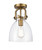 manufacturer_finish:Brushed Brass|manufacturer_glass:Clear Newton Bell