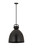 manufacturer_finish:Matte Black|manufacturer_glass:Matte Black|light_output:220.00lm|color_temperature:2200K|cri:99