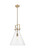 Innovations - 411-1SL-CB-G411-14CL - One Light Pendant - Downtown Urban - Champagne Bronze