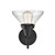 Caden LED Wall Sconce (447-1W-BK-CL-LED)