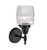 Caden LED Wall Sconce (447-1W-BK-G302-LED)