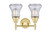 Two Light Bath Vanity (447-2W-SB-G192)