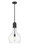 manufacturer_finish:Matte Black|manufacturer_glass:Clear|light_output:600.00lm|color_temperature:2700K|cri:82