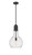 manufacturer_finish:Matte Black|manufacturer_glass:Seedy|light_output:220.00lm|color_temperature:2200K|cri:99