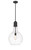 manufacturer_finish:Matte Black|manufacturer_glass:Clear|light_output:600.00lm|color_temperature:2700K|cri:82
