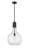 manufacturer_finish:Matte Black|manufacturer_glass:Seedy|light_output:600.00lm|color_temperature:2700K|cri:82